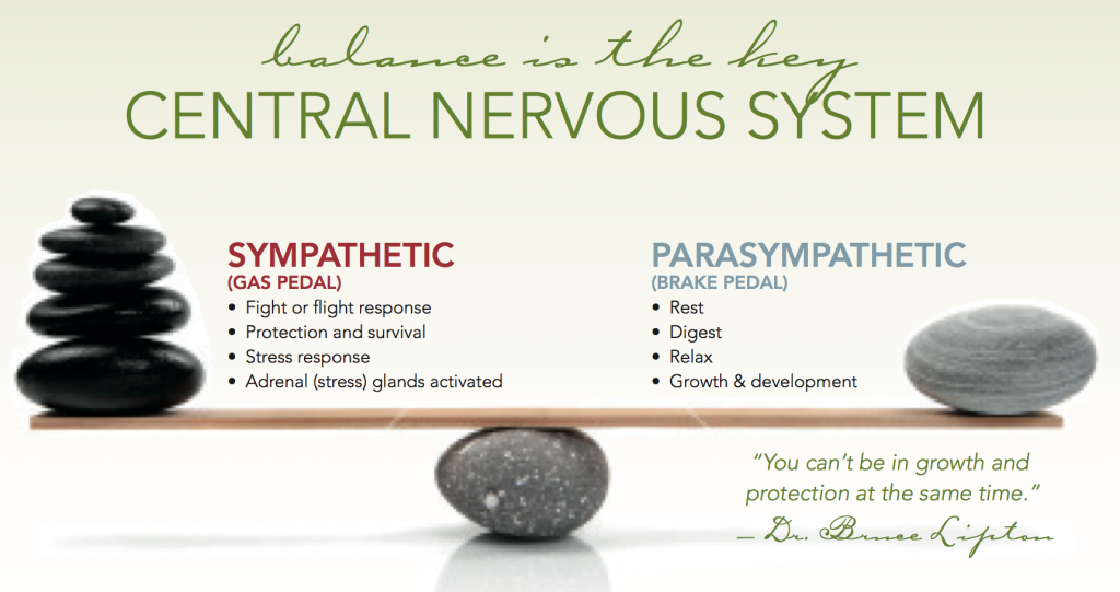 overactive adrenal system symptoms