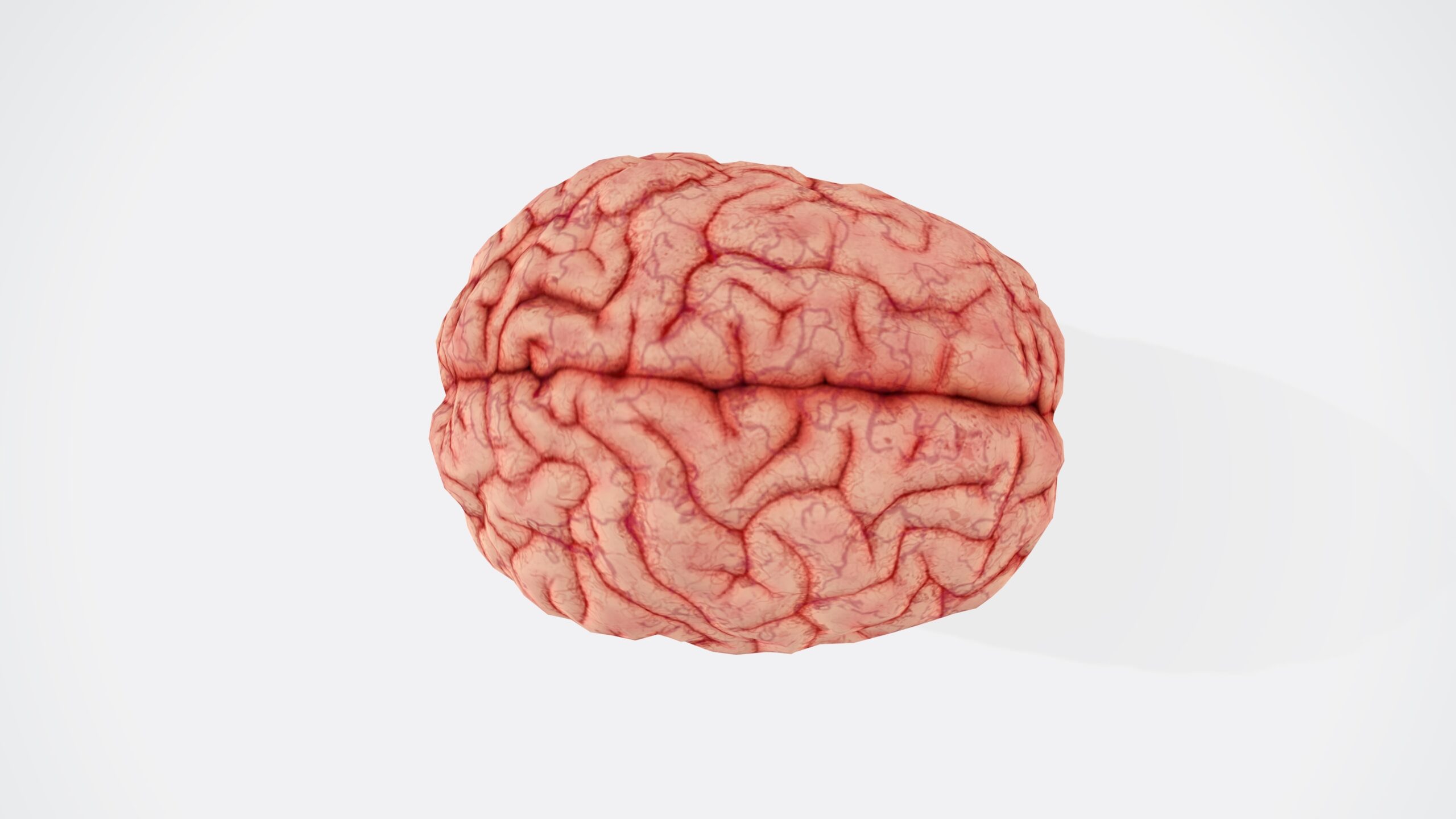 a brain with memories